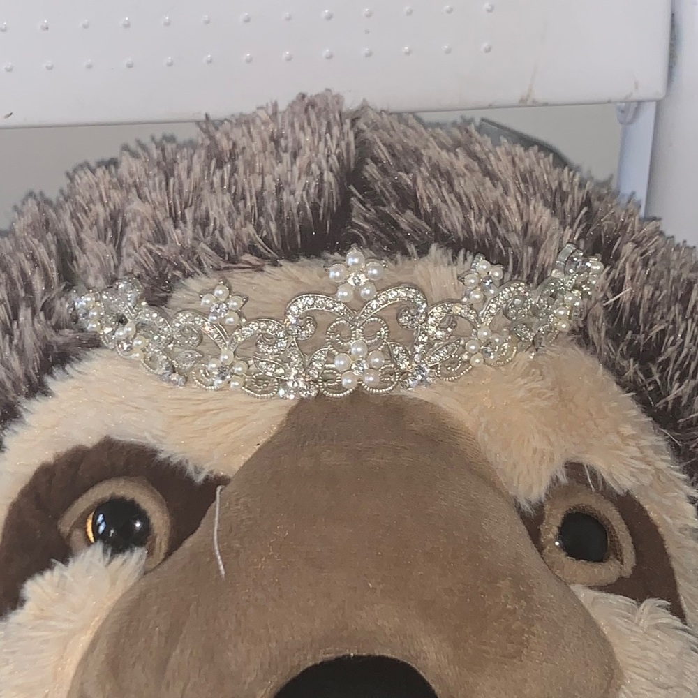 Tiaras 👑👑 - Picture 2 of 4